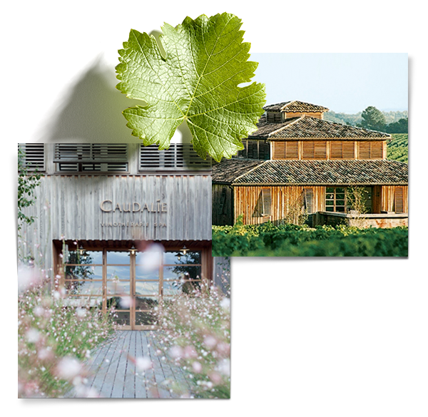 Notre premier spa vinotherapie®