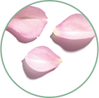 Água de Rosas 100% Orgânica