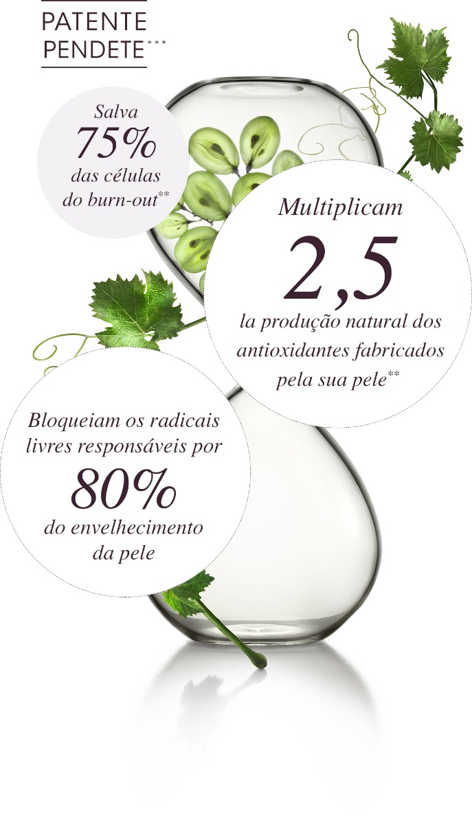 Polifenóis - Proven Eficácia comprovada